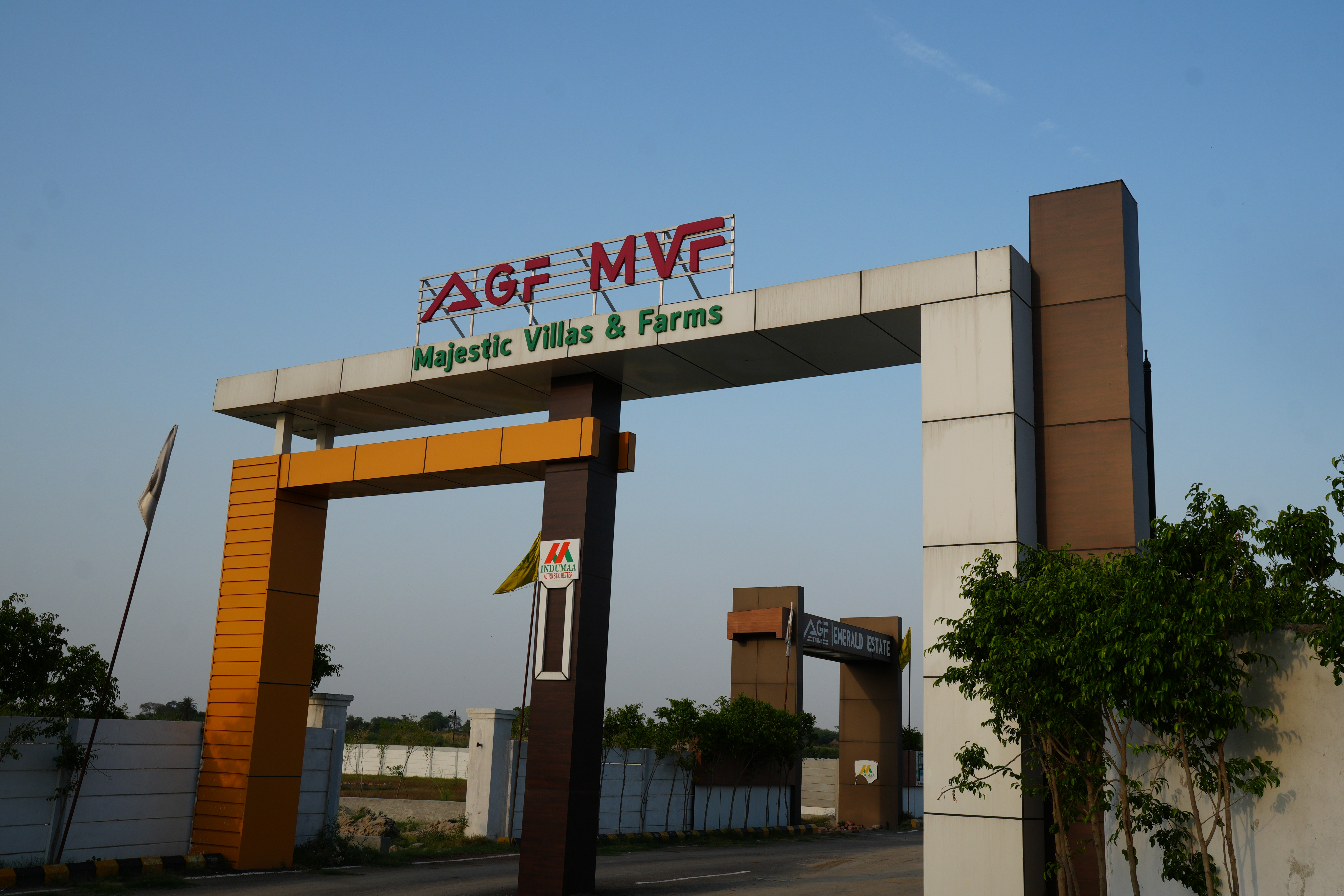 MVF View 2