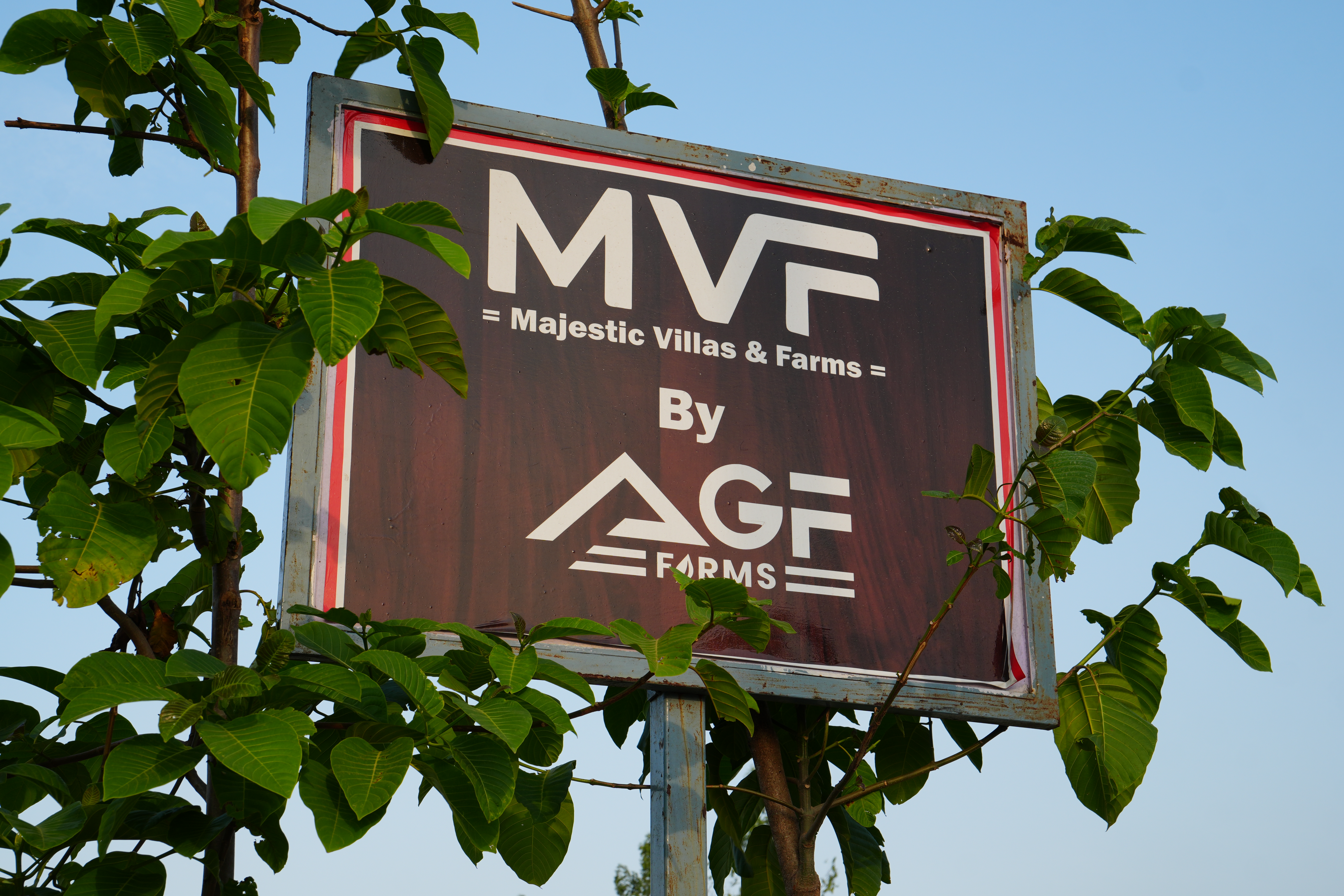 MVF View 3